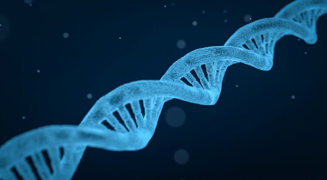 Image: Homemade Method for DNA Isolation